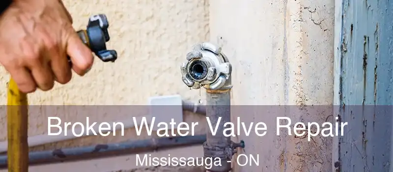  Broken Water Valve Repair Mississauga - ON