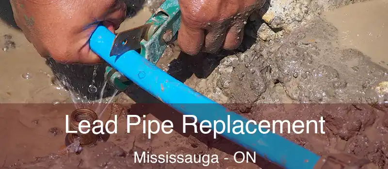  Lead Pipe Replacement Mississauga - ON