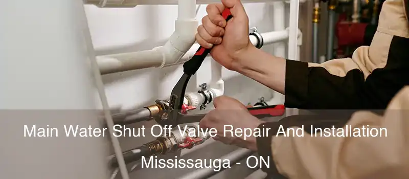  Main Water Shut Off Valve Repair And Installation Mississauga - ON