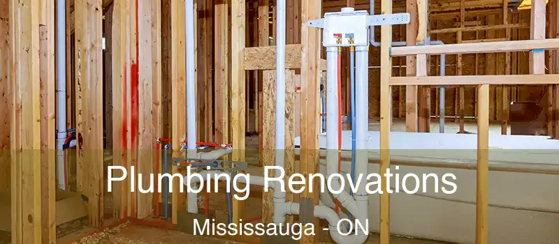  Plumbing Renovations Mississauga - ON