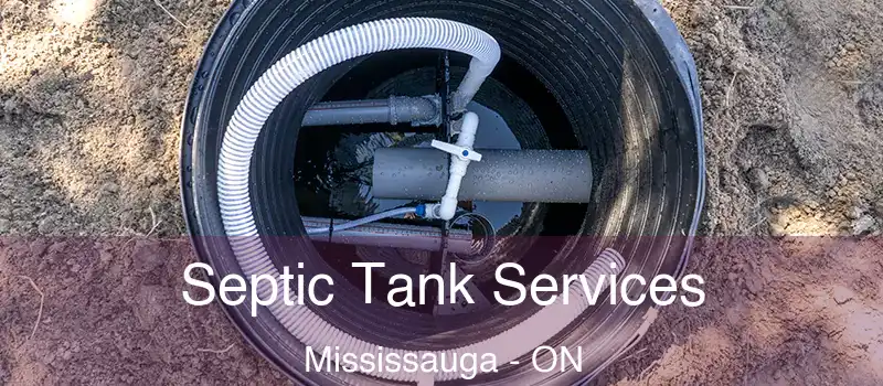  Septic Tank Services Mississauga - ON